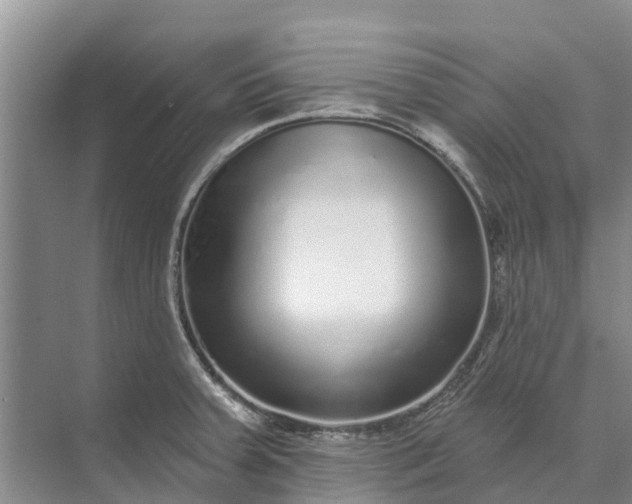 X0000072941379200608041231