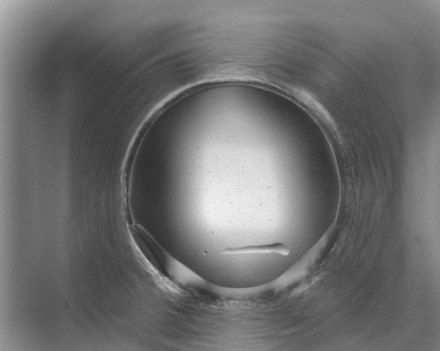 X0000072941380200608041231