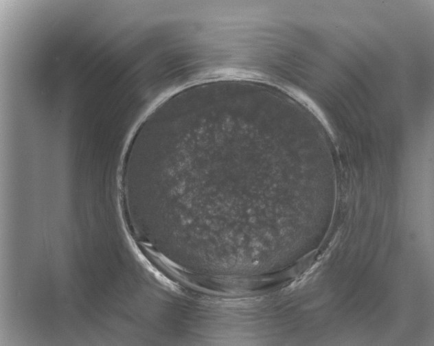 X0000072941381200608041231