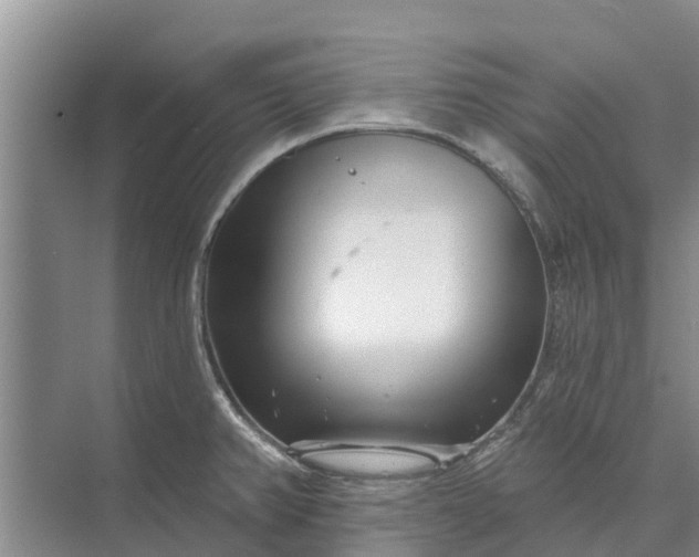 X0000072941382200608041231