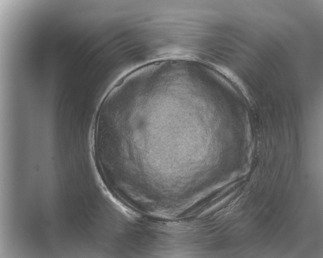 X0000072941383200608041231