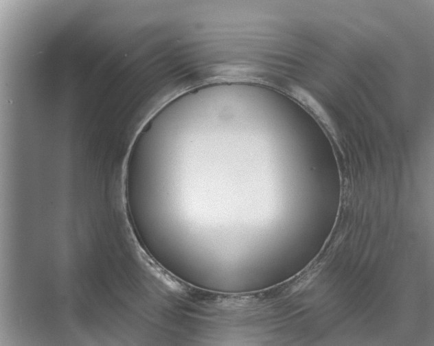 X0000072941386200608041231