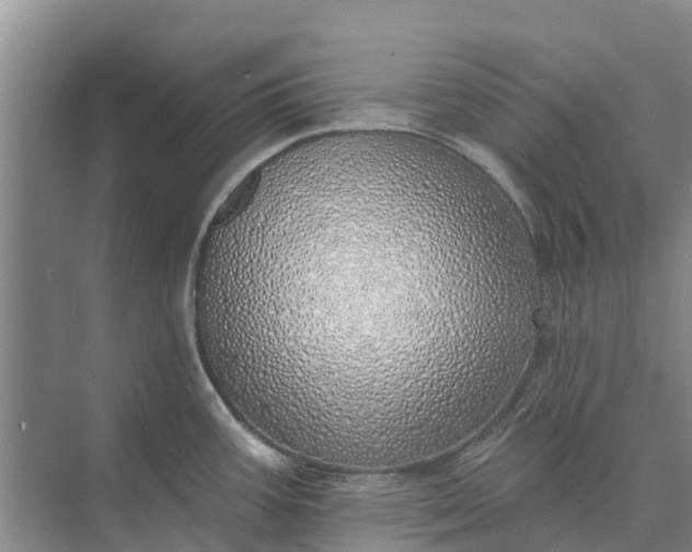 X0000072941387200608041230