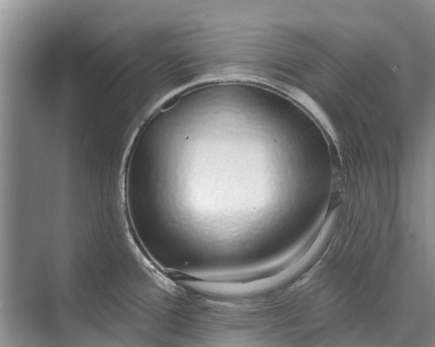 X0000072941388200608041230