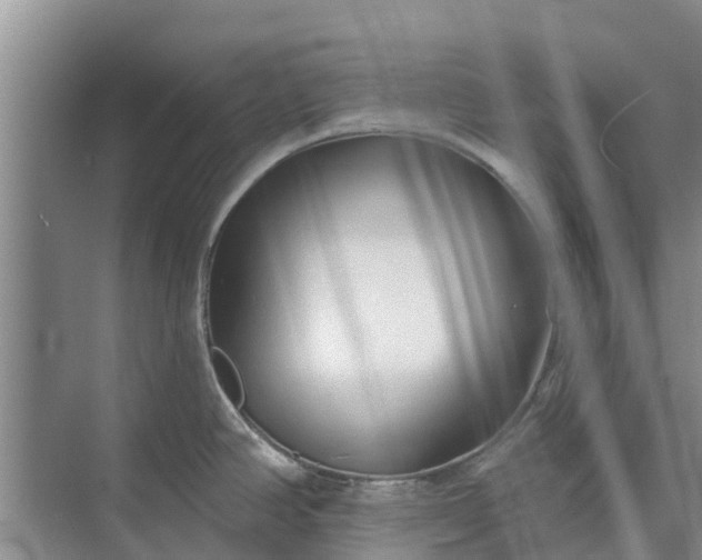 X0000072941390200608041230