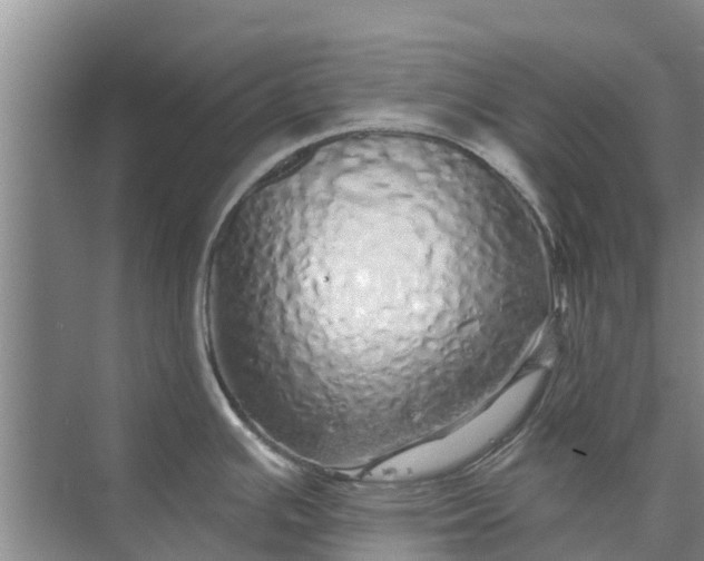 X0000072941391200608041230