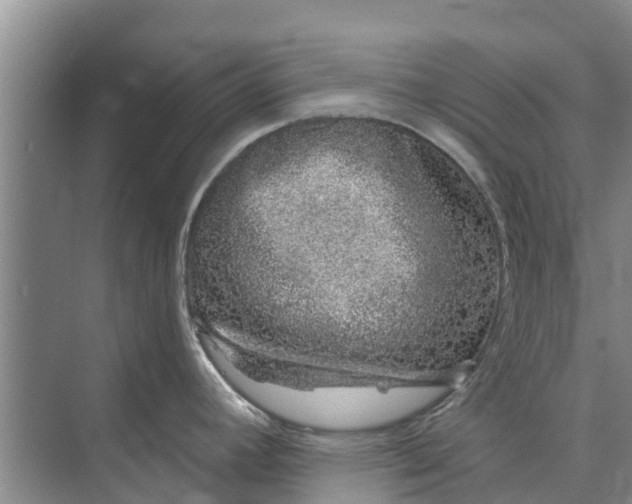 X0000072941392200608041230