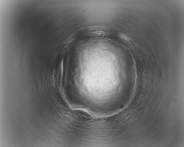 X0000072941394200608041230