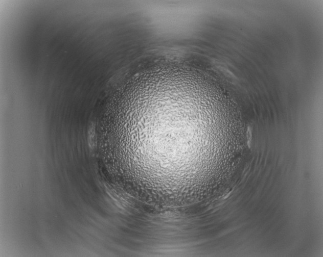 X0000072941395200608041230