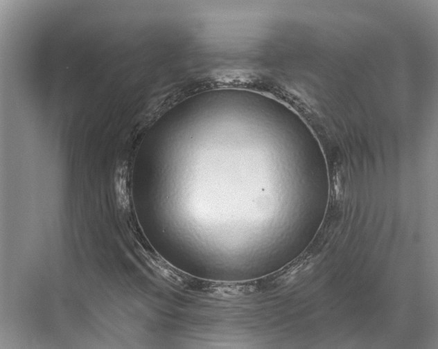 X0000072941396200608041230