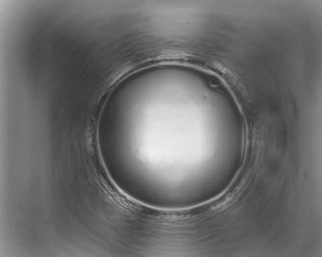 X0000072941401200608041230