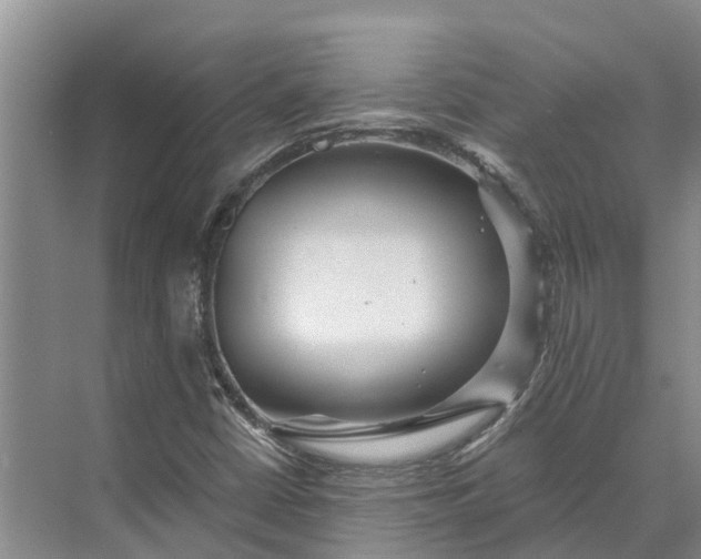 X0000072941402200608041230