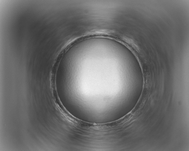 X0000072941404200608041230