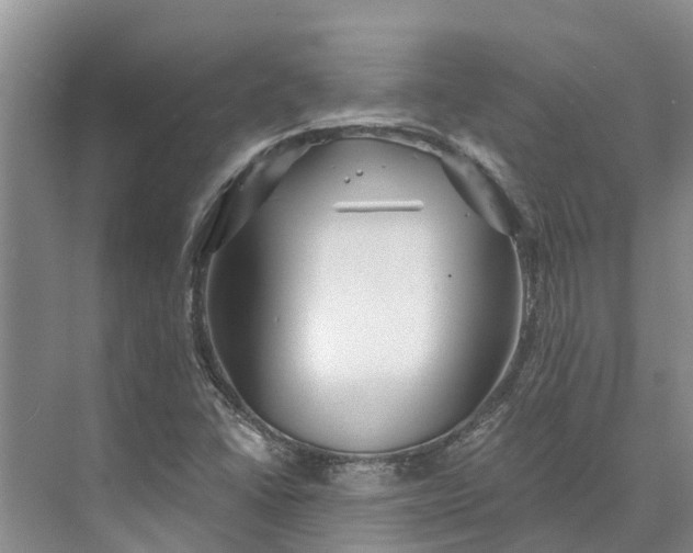 X0000072941406200608041230