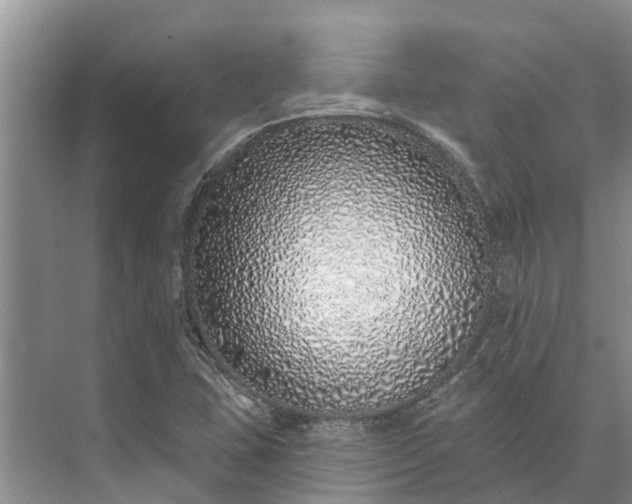 X0000072941407200608041230