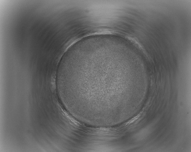 X0000072941409200608041230