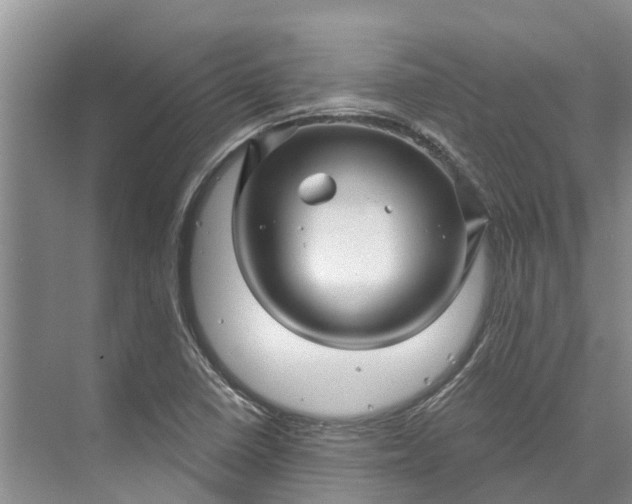 X0000072941410200608041230