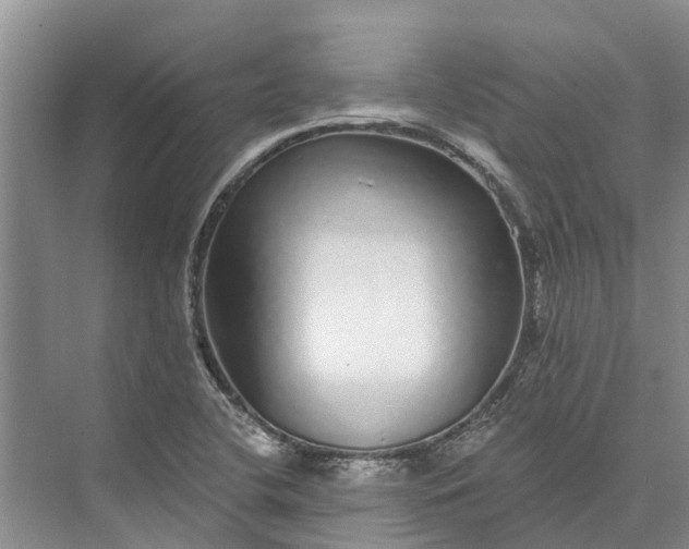 X0000072941412200608041230