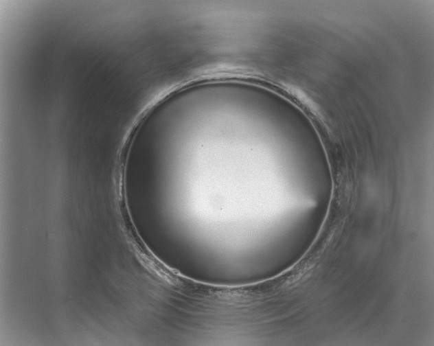 X0000072941413200608041230