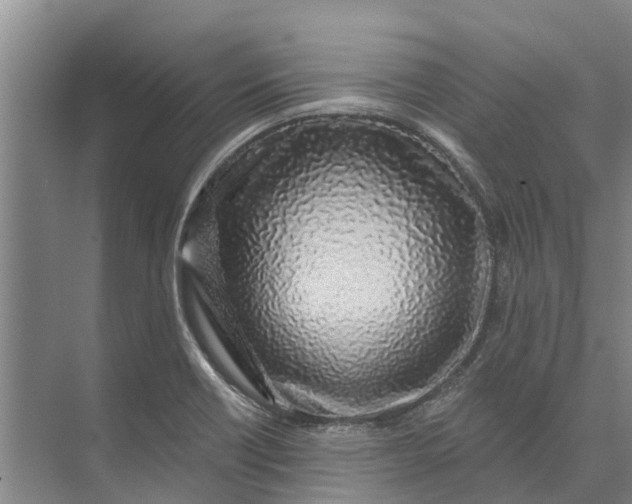 X0000072941418200608041230