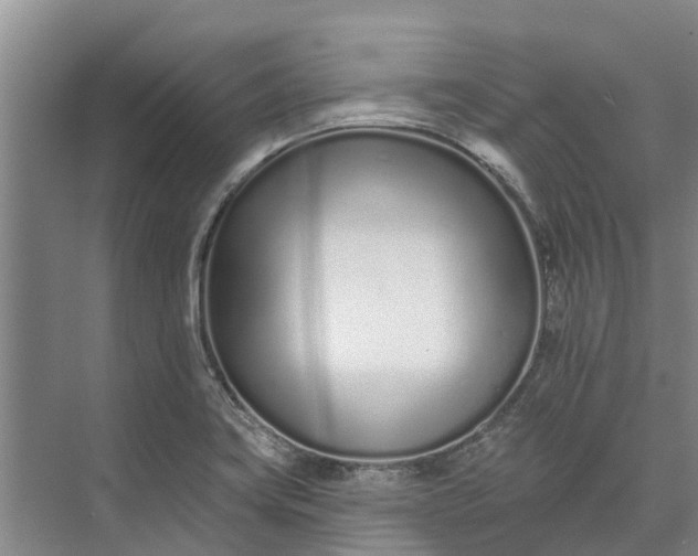 X0000072941419200608041230