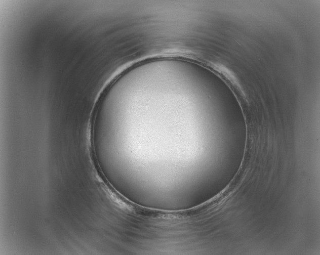 X0000072941420200608041230