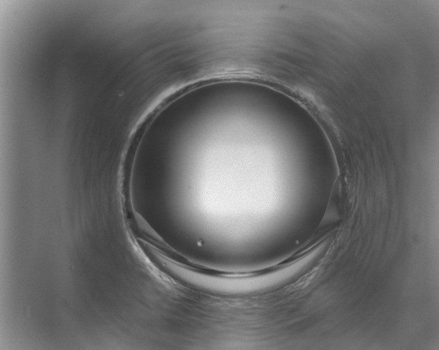 X0000072941422200608041230