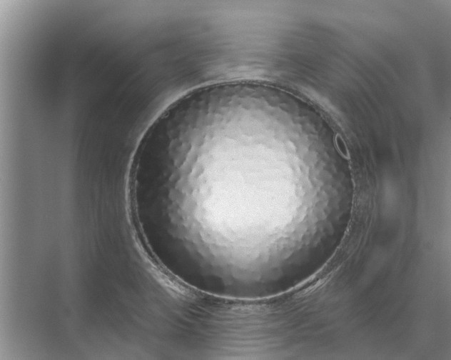 X0000072941423200608041230