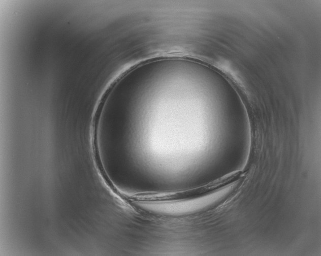 X0000072941424200608041230