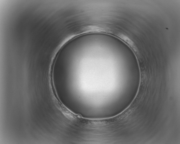 X0000072941427200608041230