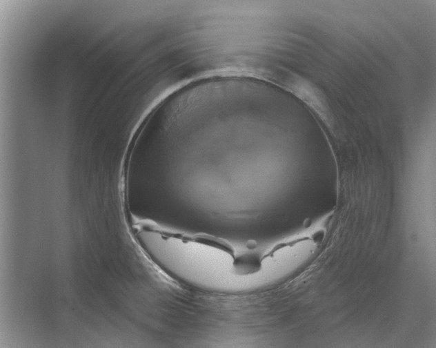 X0000072941428200608041230