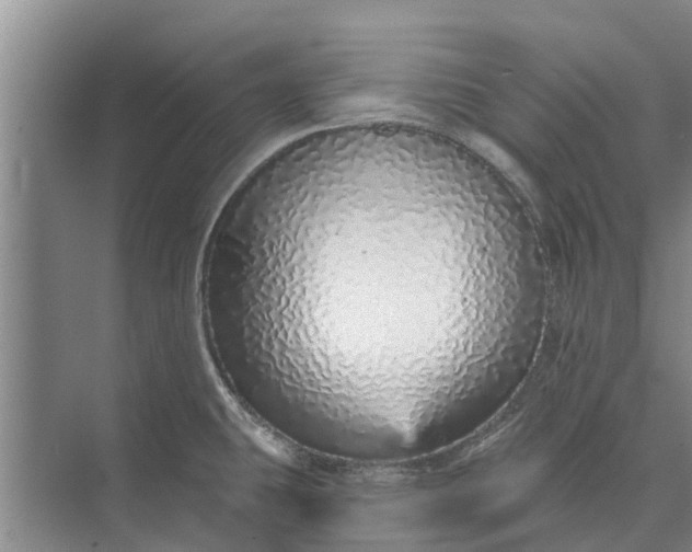 X0000072941431200608041230