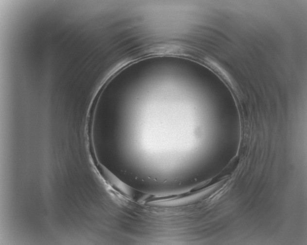 X0000072941434200608041230