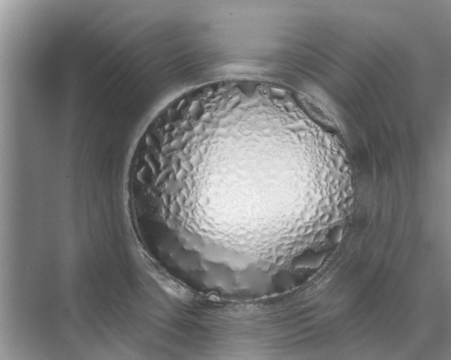 X0000072941435200608041230