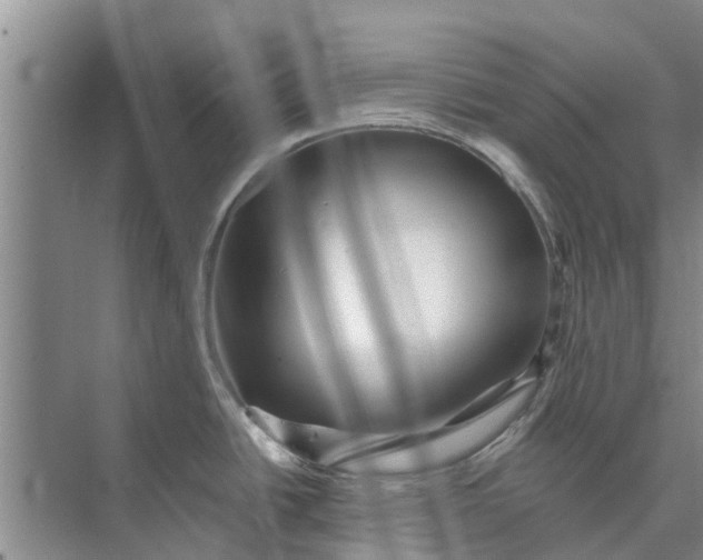 X0000072941438200608041230