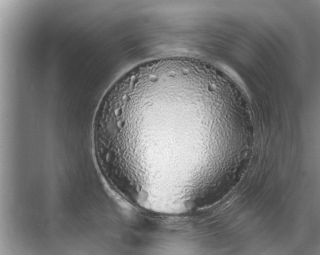 X0000072941439200608041230