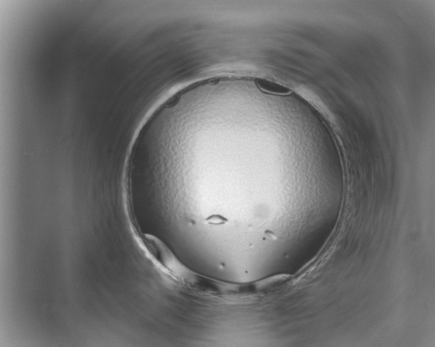 X0000072941440200608041230