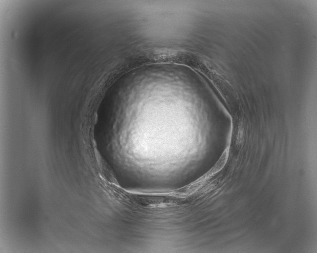 X0000072941441200608041230