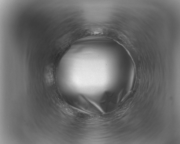 X0000072941442200608041230