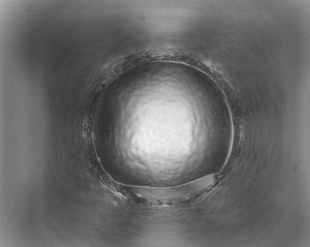 X0000072941445200608041230