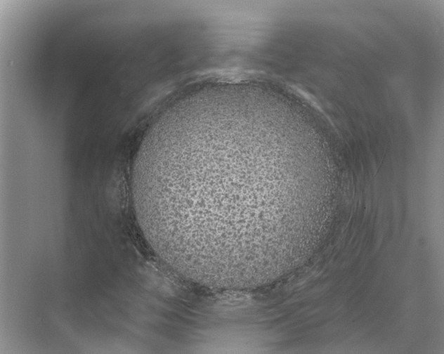 X0000072941446200608041229