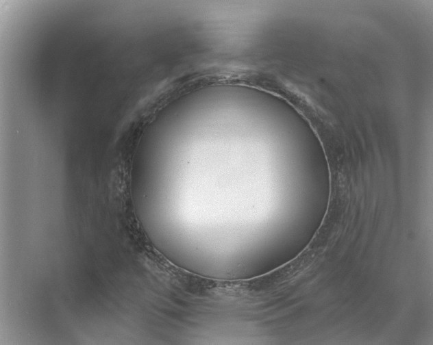 X0000072941447200608041229