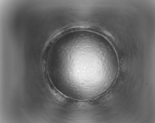 X0000072941448200608041229