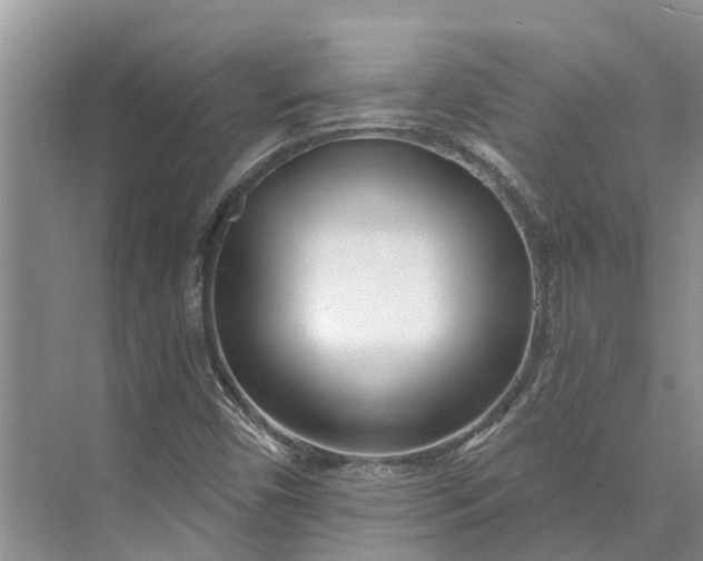 X0000072941450200608041229