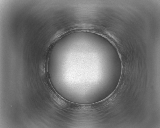 X0000072941451200608041229