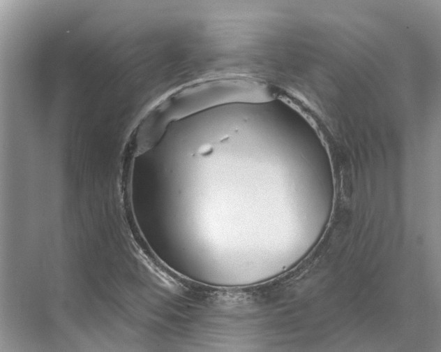 X0000072941452200608041229