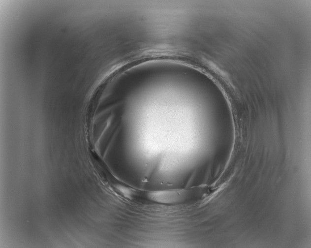 X0000072941453200608041229