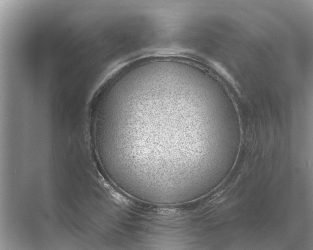 X0000072941456200608041229