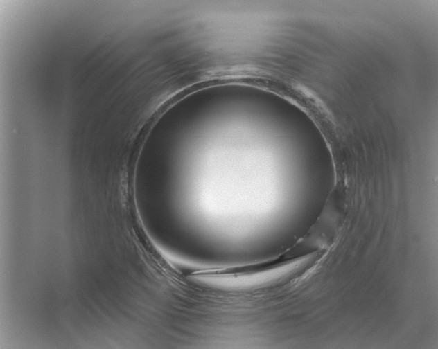 X0000072941457200608041229