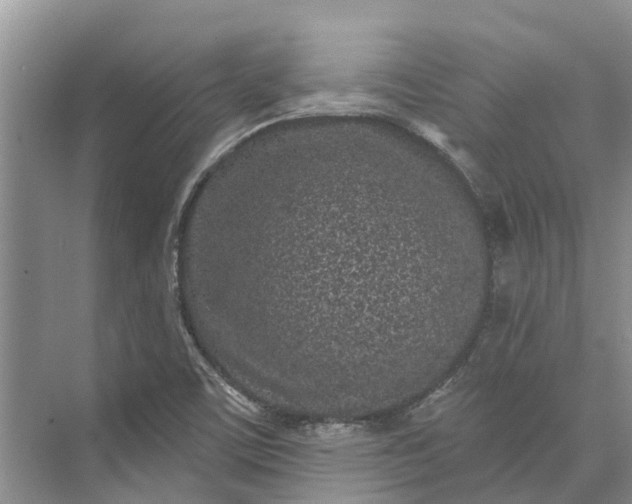 X0000072941459200608041229